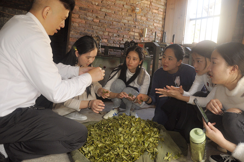 哈尔滨茶艺师培训