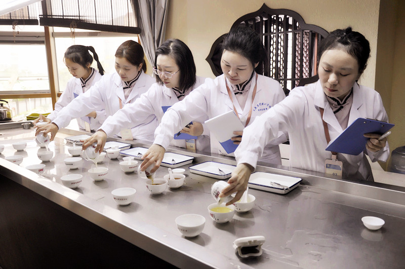 厦门茶艺师培训