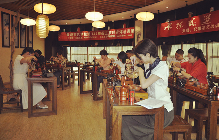 想学茶道要什么条件